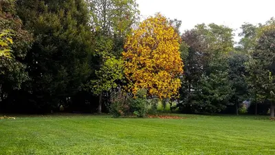 Giardino di B&B Al Piovego