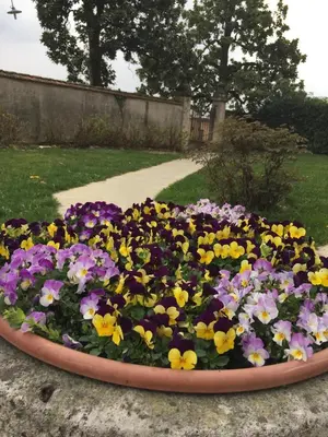 Giardino di Agriturismo Villa Panigai
