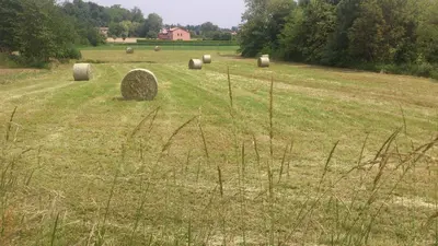 Paesaggio naturale nelle vicinanze del bed & breakfast