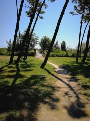 Paesaggio naturale nelle vicinanze dell'aparthotel