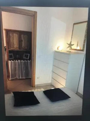 Planimetria di Jesolo pineta oasi verde ,spiaggia e mare