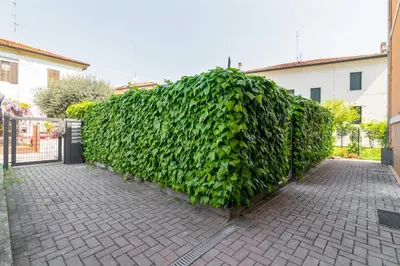Giardino di GuestHost - Prato della Valle Roomy Flat