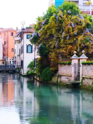 Vista sul fiume nelle vicinanze dell'appartamento