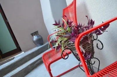 Planimetria di La Salvia e Il Lampone