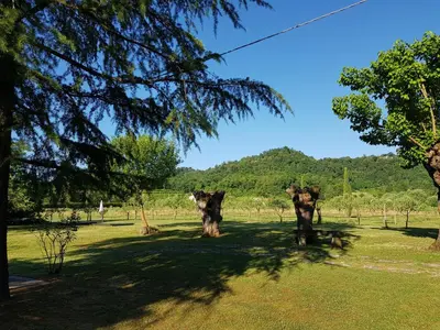 Paesaggio naturale nelle vicinanze dell'agriturismo