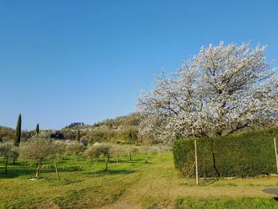 Paesaggio naturale nelle vicinanze dell'agriturismo
