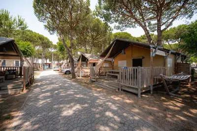 Paesaggio naturale nelle vicinanze di questo campeggio di lusso