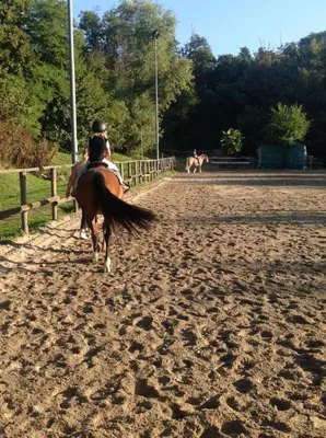 Attività di equitazione presso l'agriturismo o nelle vicinanze