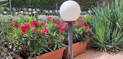 Giardino di Casarelax