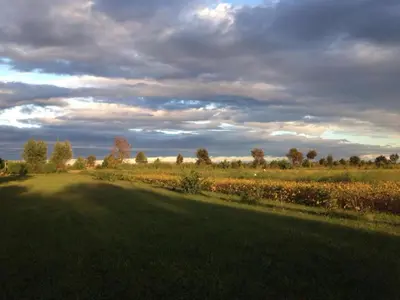 Paesaggio naturale nelle vicinanze della villa