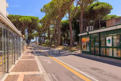 Il quartiere o una zona nella vicinanze dell'hotel