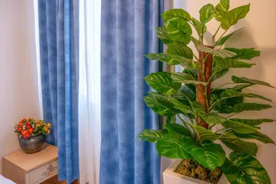 Planimetria di B&B New Aurora Venice
