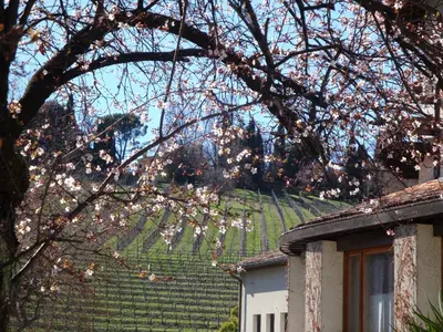 Giardino di Sporting Hotel Ragno D'oro