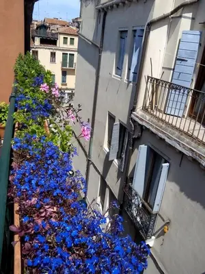 Balcone o terrazza di Ca' San Silvestro 2 terrazze nel cuore di Venezia