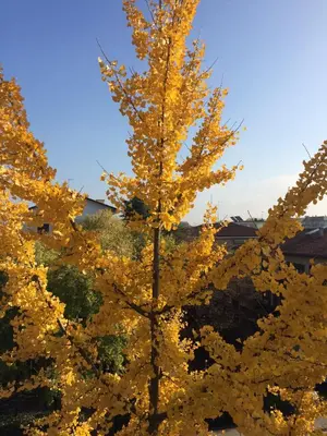 Paesaggio naturale nelle vicinanze del bed & breakfast