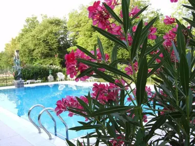 Piscina di Villa Navagero - Ca' degli Stefani C o nelle vicinanze