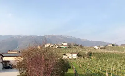 Paesaggio naturale nelle vicinanze dell'appartamento