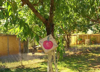 Giardino di Zio Stefy