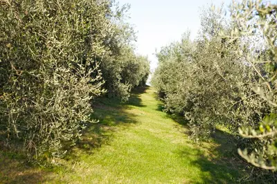 Paesaggio naturale nelle vicinanze dell'agriturismo