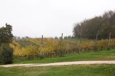 Paesaggio naturale nelle vicinanze dell'agriturismo