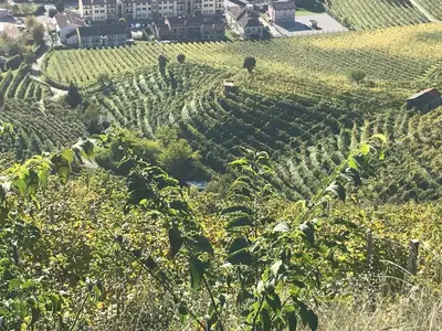 Giardino di CASA San Gallo