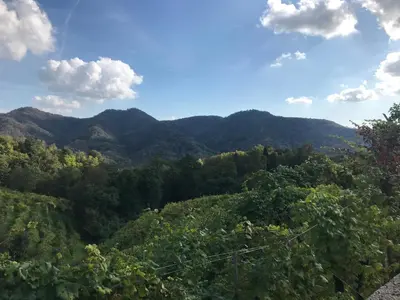 Paesaggio naturale nelle vicinanze della casa vacanze