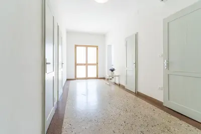 Planimetria di Zenith