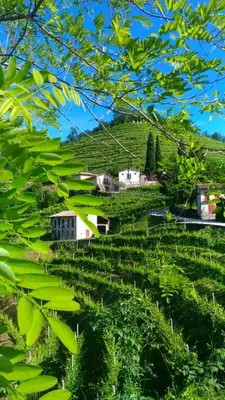 Paesaggio naturale nelle vicinanze dell'affittacamere