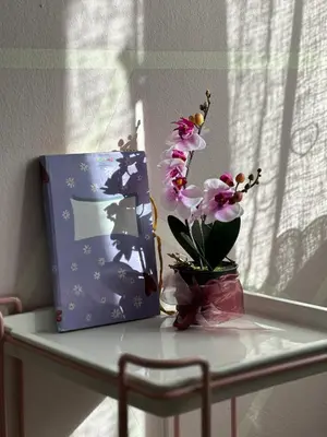 Planimetria di Casa TOÈ