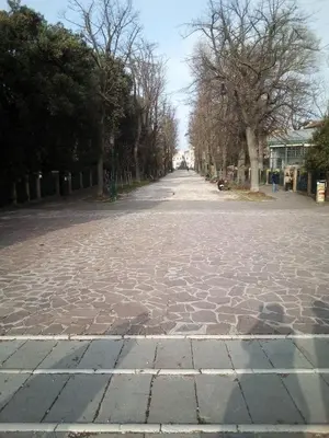 Il quartiere o una zona nella vicinanze dell'appartamento