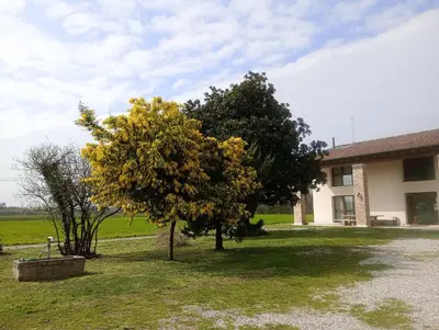 Giardino di Agriturismo Trabucco