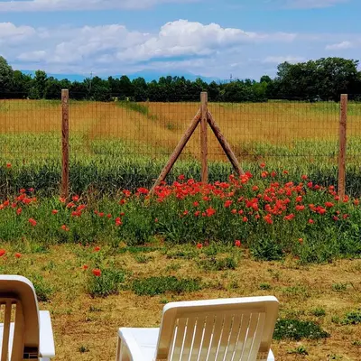 Giardino di Porte di Venezia, Tessera Aeroporto