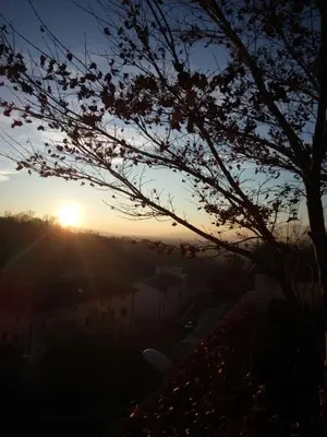 Paesaggio naturale nelle vicinanze del bed & breakfast