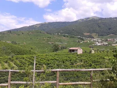 Paesaggio naturale nelle vicinanze dell'agriturismo