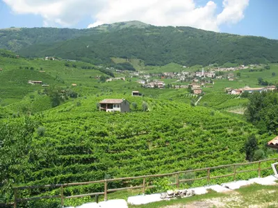 Paesaggio naturale nelle vicinanze dell'agriturismo