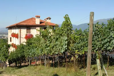 Paesaggio naturale nelle vicinanze dell'agriturismo