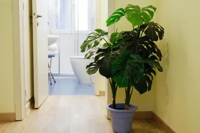 Bagno di Appartamento San Marco Frezzaria