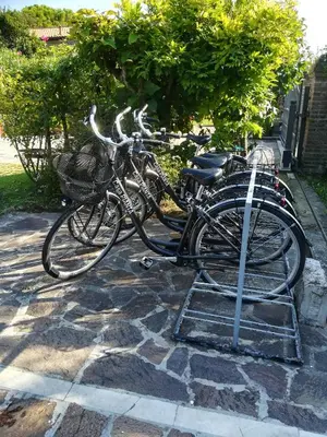 Attività di ciclismo presso l'affittacamere o nelle vicinanze