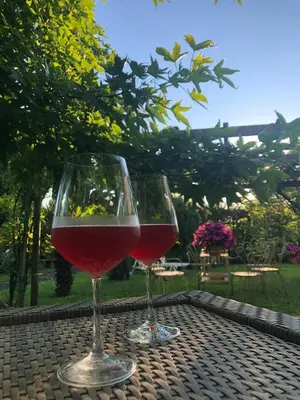 Bevande di Casa Pianta