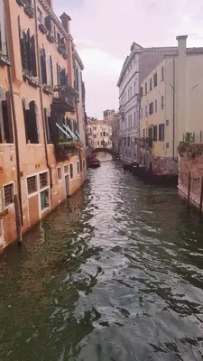 Vista sul fiume nelle vicinanze dell'appartamento