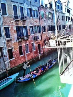 Vista sul fiume nelle vicinanze dell'appartamento