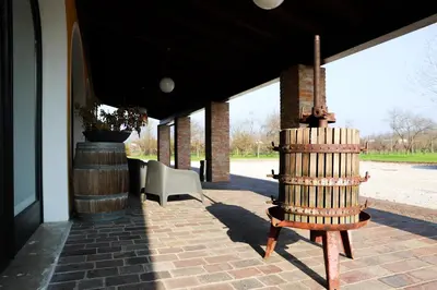 Planimetria di Agriturismo Borgo Borromeo