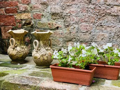 Giardino di Casa a San Marco