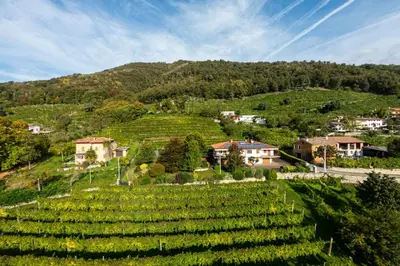 Paesaggio naturale nelle vicinanze dell'appartamento