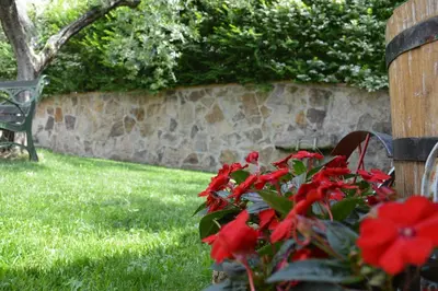 Giardino di Colle Del Barbarossa