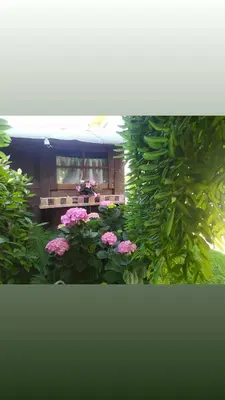 Giardino di Al Casale B&B