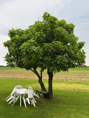 Giardino di Ca' Rosin Meolo - Camera tra relax e privacy