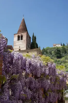 Giardino di B&B Borgo Castello