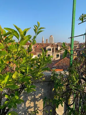 Vista generica su Venezia o vista sulla città dall'interno dell'appartamento