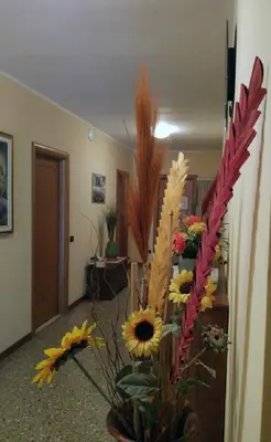 Planimetria di Affittacamere Canal